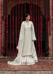 DOVE-01040  (stitched)